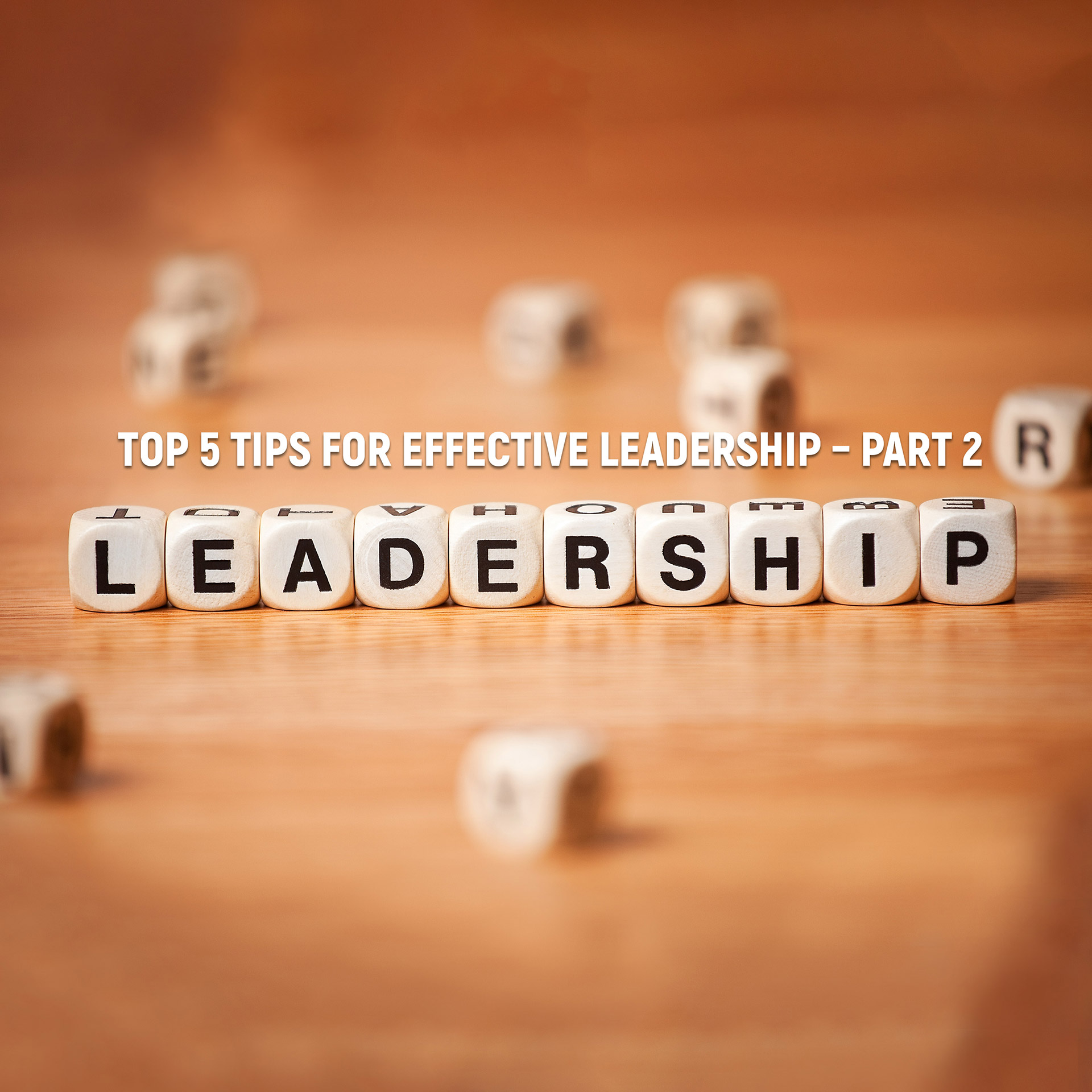 Episode 5: Top 5 Tips for Effective Leadership [Part 2]